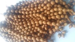 İşlenmiş Birinci Kalite Merik Andız Tesbih