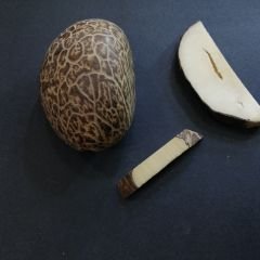 Sistem Püsküllü İmzalı Kapsül Kesim Az Hatalı Narçıl Tesbih