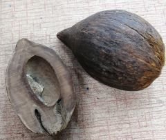 Sistem Püsküllü Istanbul Kesim Nakkaş İmameli Kuka Tesbih